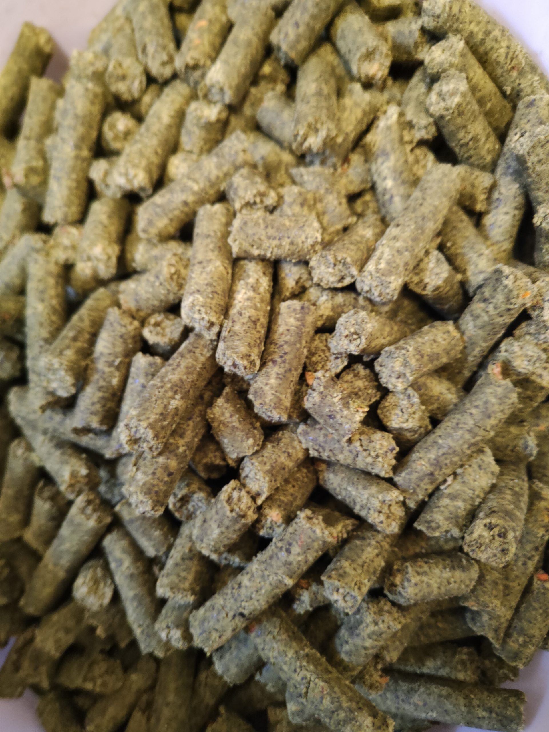 Makuch / śruta Dynia 1kg