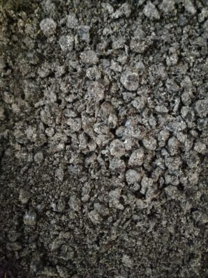 Makuch / śruta Czarnuszka 1kg